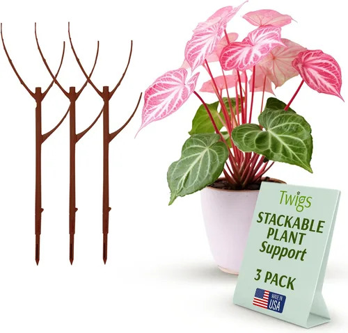Vista 10 de Estacas de soporte para plantas para uso en interiores y exteriores, alternativa duradera de enrejado para plantas trepadoras y en maceta