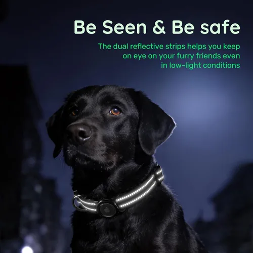 Vista 3 de Collar de perro Airtag con código QR, collar reflectante para perro con soporte Airtag, acolchado suave y hebilla de bloqueo de seguridad ajustable