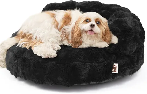 Vista 23 de EHEYCIGA Sofá cama suave para gatos de interior, cama extra pequeña esponjosa para perros con funda extraíble lavable, sofá para mascotas, Camello