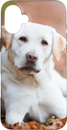 Vista 23 de Labrador Retriever Dog Lover - Carcasa para iPhone 17