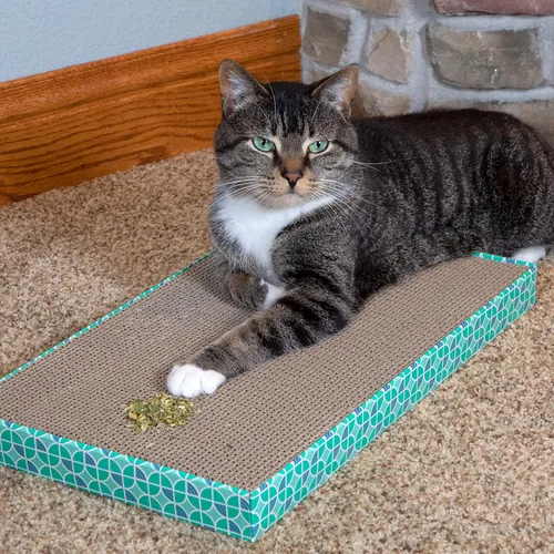 Vista 3 de Kitty City Colección Cat Premium Natural Catnip Collection Catnip With Silvervine