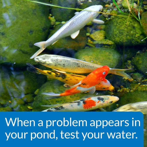 Vista 6 de API Pondcare Master Liquid Test Kit