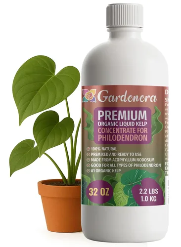 Vista 83 de GARDENERA Superalimento orgánico prémium de algas marinas y algas marinas para plantas AROID - 32 oz - Concentrado de fertilizante líquido de algas