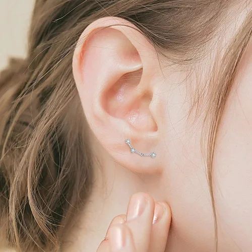 Vista 2 de BriLove Aretes de plata de ley 925 con circonita cúbica, horóscopo del zodiaco, 12 constelaciones, astrología, oreja, regalo para mamá, mujer, día