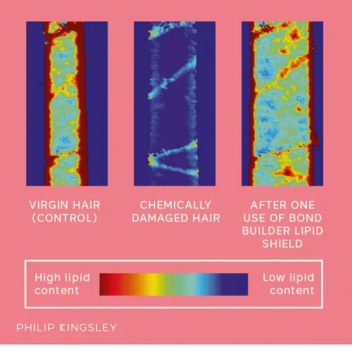 Vista 4 de PHILIP KINGSLEY Bond Builder Lipid Shield Tratamiento restaurador de aceite capilar para cabello seco y dañado Hidratante capilar protector