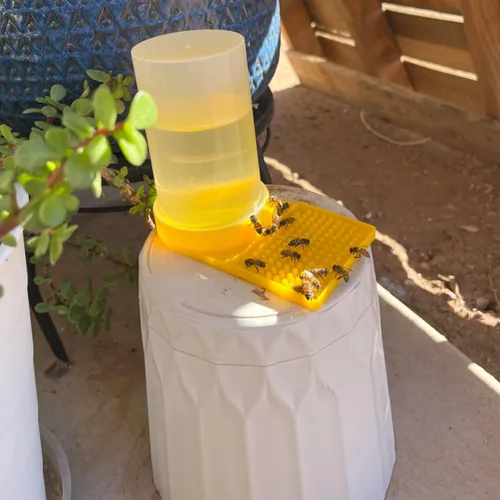 Vista 4 de Paquete de 2 alimentadores de agua de abeja, colmena de apicultura, alimentador de entrada de colmena, apicultura, bebida, mariposa, baño, estación