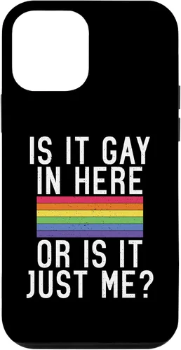 Vista 12 de iPhone 15 ¿Es gay aquí o es solo yo Bisexual Gay Pride Case
