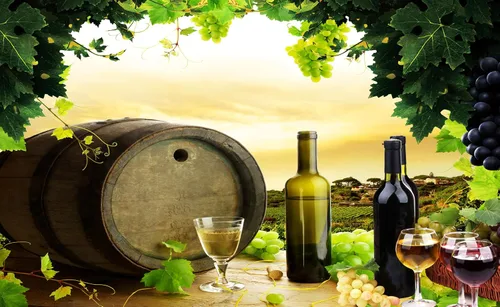 Vista 2 de Fondo con tema de vino, 5 x 3 pies, viñedo, plantas frutales, hojas, pancarta, fondo de fotografía para fiesta de cumpleaños de niños, accesorios