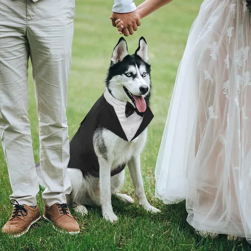 Vista 4 de Kuoser Conjunto de esmoquin para perro, traje de perro y bandana, disfraz Negro
