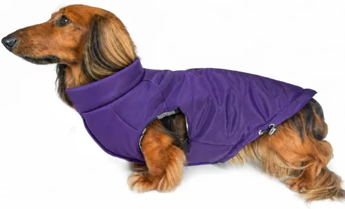 Vista 23 de DJANGO Abrigo de invierno reversible para perros con acolchado – Chaqueta de invierno cálida para perros y abrigo aislante repelente al agua