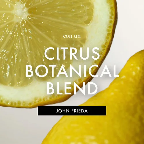 Vista 6 de John Frieda Go Blonder Champú aclarador para cabello rubio, 8.3 fl oz