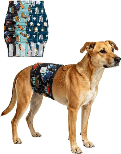 Vista 33 de CuteBone - Pañales lavables para perro macho, banda abdominal, paquete de 3 unidades, color negro, modelo DM54XS
