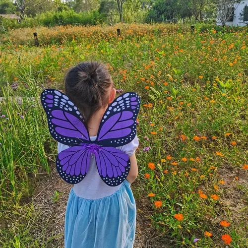 Vista 4 de Danballto Disfraz de mariposa de alas de hadas para niñas pequeñas