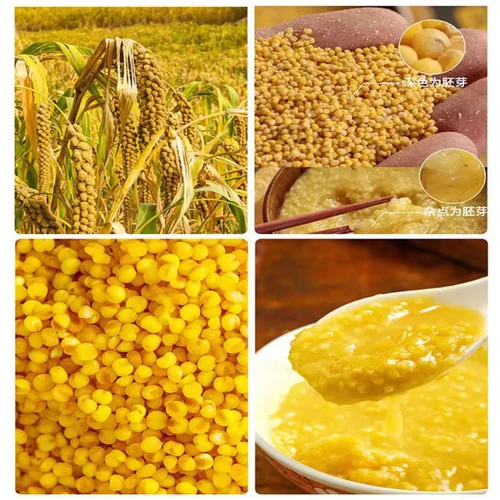 Vista 6 de Mijo 17.63 oz sin gluten descascarado a granel de mijo seco al sol de grano entero