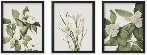 Vista 26 de Poster Master Póster botánico vintage de 3 piezas, estampado floral retro, regalo para artistas, amigos, flores de acuarela, brillante, azul