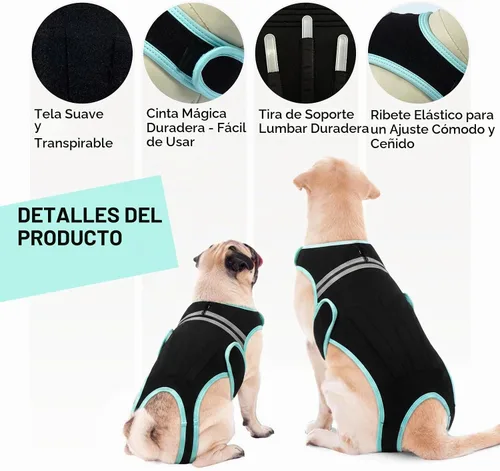 Vista 4 de IVDD - Soporte de espalda para perros, suave para la recuperación de cirugía Dog Back Protector Spine Support for Arthritis, Dogs Back Disease