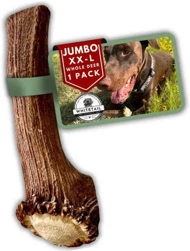 Vista 10 de WhiteTail Naturals - Cuernos de ciervo para perros pequeños (paquete de 12) cuernos masticables naturales para cachorros y pequeños masticadores