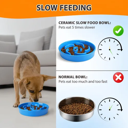 Vista 5 de Cuenco de cerámica para perros de alimentación lenta, 2 tazas de plato de flor - azul