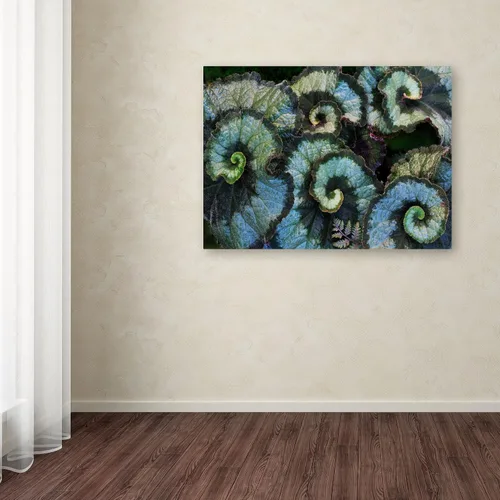 Vista 3 de Trademark Fine Art Escargot Begonia - Arte enmarcado mate por Kurt Shaffer en marco negro, 11 x 14 pulgadas