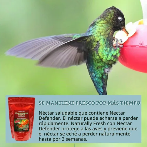 Vista 4 de Polvo de néctar de colibrí naturalmente fresco con defensor de néctar