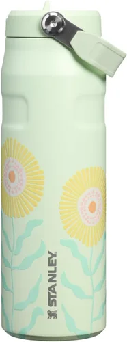 Vista 54 de STANLEY - Botella de agua IceFlow Flip Straw 2.0 con pajilla abatible, abertura más grande, acero inoxidable aislado, sin bisfenol A, 16 onzas