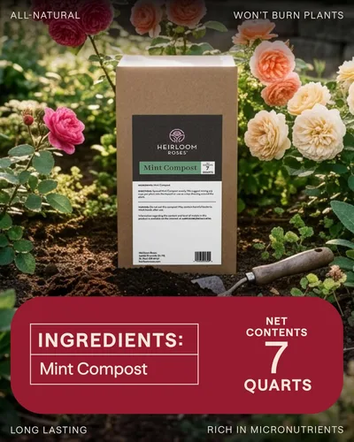 Vista 6 de Heirloom Roses Compost de menta, 100% natural, enmienda superior del suelo para plantar rosas, rico en micronutrientes y nitrógeno para verduras