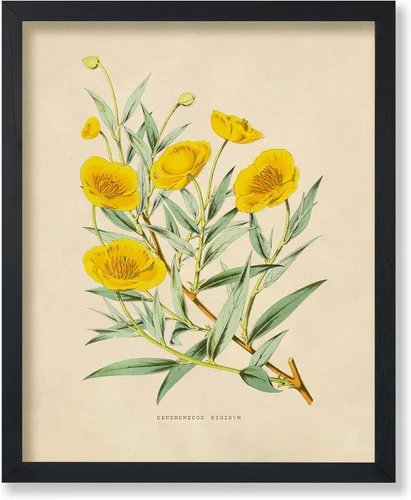 Vista 50 de Poster Master Póster Vintage de Titmouse Canadiense - Impresión Retro de Aves de América - Arte de Aves - Regalo para Hombres, Mujeres y Amantes