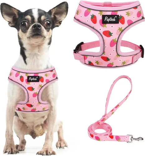 Vista 100 de PUPTECK Juego de arnés y correa de malla suave para perro, cachorro y gato, cómodo chaleco acolchado sin tirones, azul Pascua, S