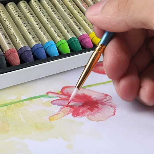 Vista 4 de HA SHI Pasteles al óleo solubles en agua para artistas, 12 colores, palitos de arte de acuarela suaves, suministros de arte premium para artistas