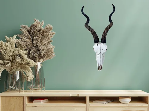 Vista 6 de Top Brass Calavera de antílope Kudu africano de 14 1/2 pulgadas, cabeza de montaje en pared, decoración rústica de safari