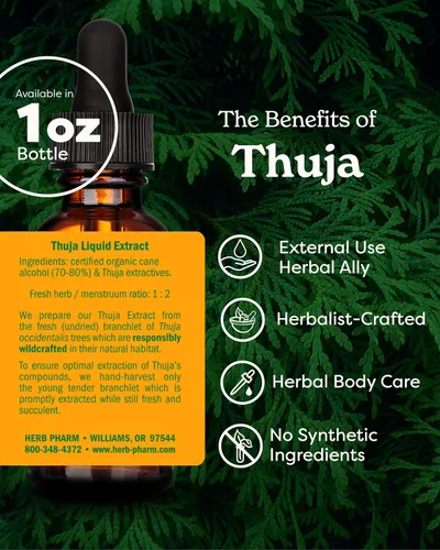 Vista 2 de Herb Pharm Thuja Branchlet - Gotas de extracto líquido solo para uso externo, 1 onza