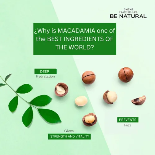 Vista 2 de PLACENTA LIFE BE NATURAL Hydra Macadamia Champú con extracto de macadamia – Champú hidratante profundo para secos y dañados (11.83 onzas)