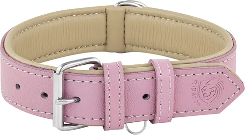 Vista 11 de Riparo Collar de perro de cuero ajustable – Collar de perro ancho resistente para perros pequeños, medianos, grandes y extra grandes con soporte Agua