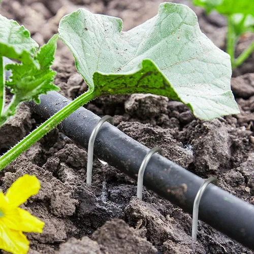 Vista 5 de Paquete de 150 estacas de jardín galvanizadas de 6 pulgadas, grapas de jardín, pasadores de césped resistentes, estacas de valla antioxidantes