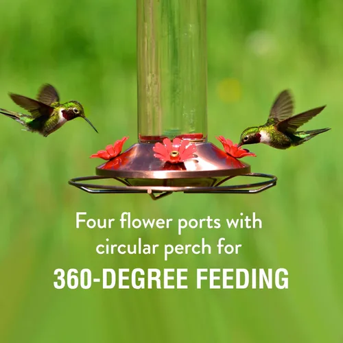 Vista 3 de Perky-Pet - Comedero elegante para colibríes de vidrio de cobre, 12 onzas