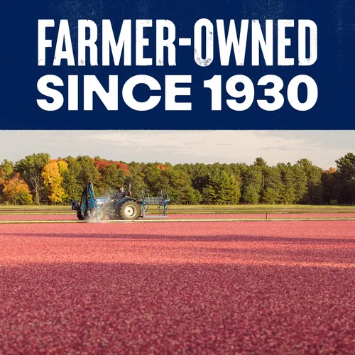 Vista 7 de Ocean Spray® Craisins®, arándanos secos con 50% menos azúcar, fruta deshidratada, bolsa de 5 onzas