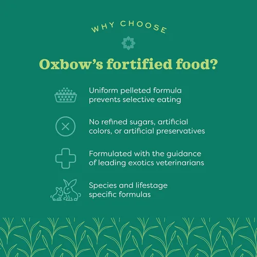 Vista 4 de Oxbow Animal Health Garden Select - Alimento para ratas adultos, receta inspirada en el jardín para ratas adultas, sin OMG, fabricado en los Estados