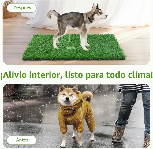 Vista 7 de LOOBANI - Almohadillas de césped para que los perros orinen, césped artificial, repuesto de césped artificial para orinal de cachorros