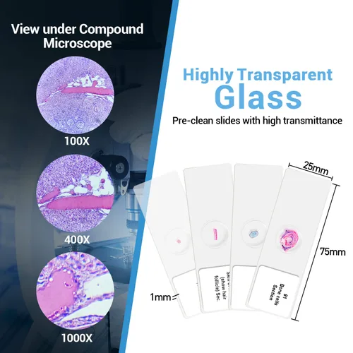Vista 2 de Diapositivas preparadas del microscopio con las muestras 100Pcs para la ciencia de los estudiantes de los niños Animal Plant Insect Specimens