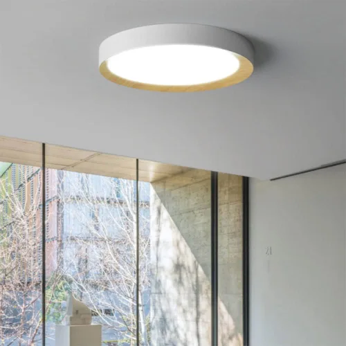 Vista 2 de Lámpara de techo LED de atenuación continua con control remoto regulable lámpara de techo LED creativa simple luz plana moderna accesorio de montaje