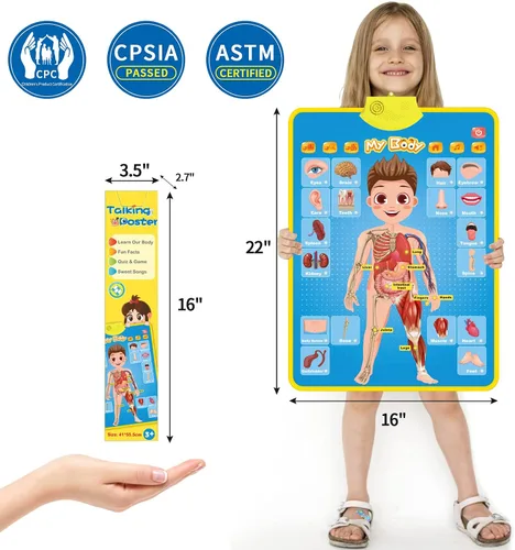 Vista 4 de My Body - Póster educativo interactivo para niños pequeños y niños para aprender partes del cuerpo, órganos, músculos y huesos, 16 x 22 pulgadas