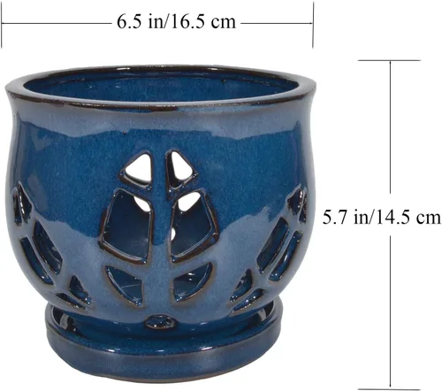 Vista 6 de W&W Maceta de orquídeas con agujeros y platillo para trasplantar, azul, 6.5 pulgadas