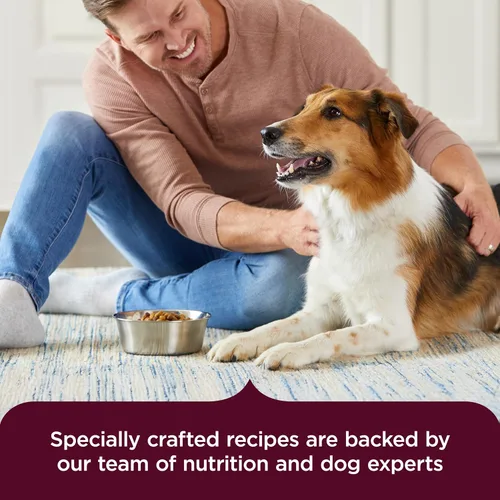 Vista 6 de Rachael Ray Nutrish – PEAK alimento seco para perros, rico en nutrientes, sin granos