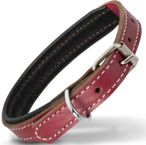 Vista 27 de Filbert Collar de cuero para perro, collar de cuero genuino para perros pequeños, acolchado de lujo, fuerte, ajustable para todas las razas, hebilla