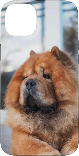 Vista 15 de Funda Chow Chow Chow para iPhone 15 Pro Max