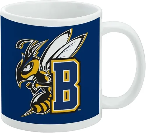 Vista 347 de Taza de cerámica con el logotipo principal de la Universidad Rider, taza de regalo novedosa para café, té y bebidas calientes, 11oz, blanca