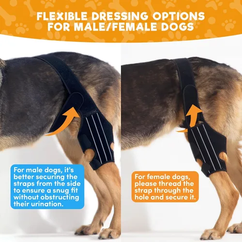 Vista 4 de BENCMATE Rodillera ajustable para perro, diseño universal para las cuatro extremidades, soporte de pierna trasera de ACL de perro, soporte CCL