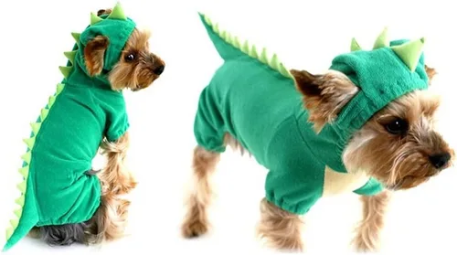 Vista 3 de NACOCO Disfraz de dinosaurio para perro, ropa verde para mascotas para perros medianos y grandes (verde, XS)