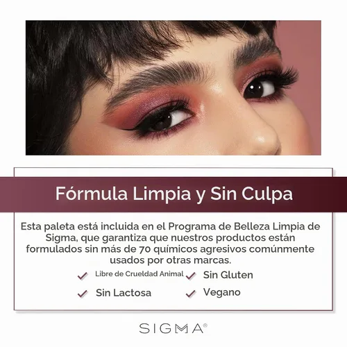 Vista 6 de SIGMA BEAUTY Cor-De-Rosa Paleta de sombra de ojos, 14 tonos con pincel de Con fórmulas construibles y mezclables en acabados mate cálido, brillante