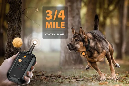Vista 4 de PATPET Collar de entrenamiento para perros con control remoto, rango de 3/4 millas, collar E impermeable, collar de choque recargable para perros
